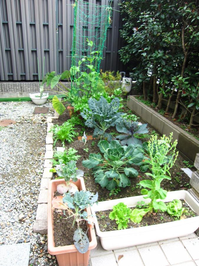 Kyo-No-Sato 京の里 Apartment Kyoto Exterior foto